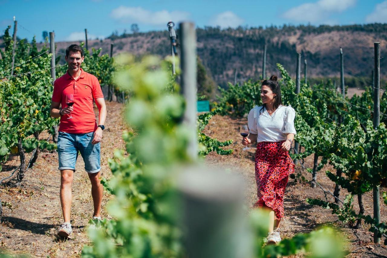 مبيت وإفطار كارتاخينا Bungalow Miramar & Jeronimo At Casa Marin Vineyards المظهر الخارجي الصورة