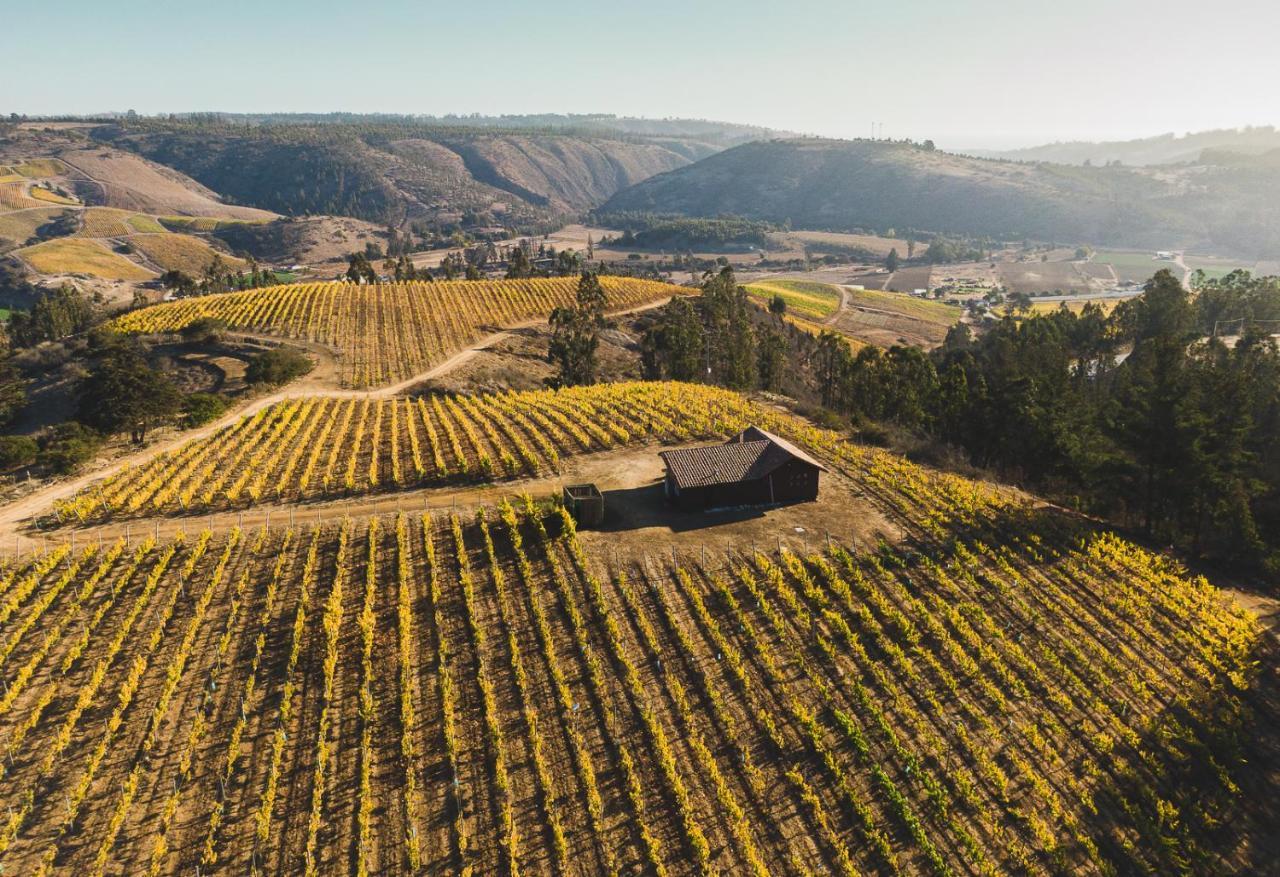 مبيت وإفطار كارتاخينا Bungalow Miramar & Jeronimo At Casa Marin Vineyards المظهر الخارجي الصورة