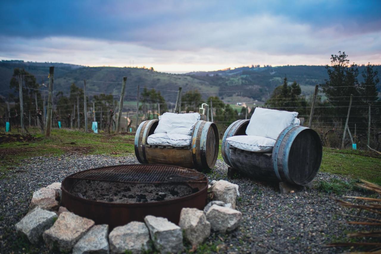 مبيت وإفطار كارتاخينا Bungalow Miramar & Jeronimo At Casa Marin Vineyards المظهر الخارجي الصورة